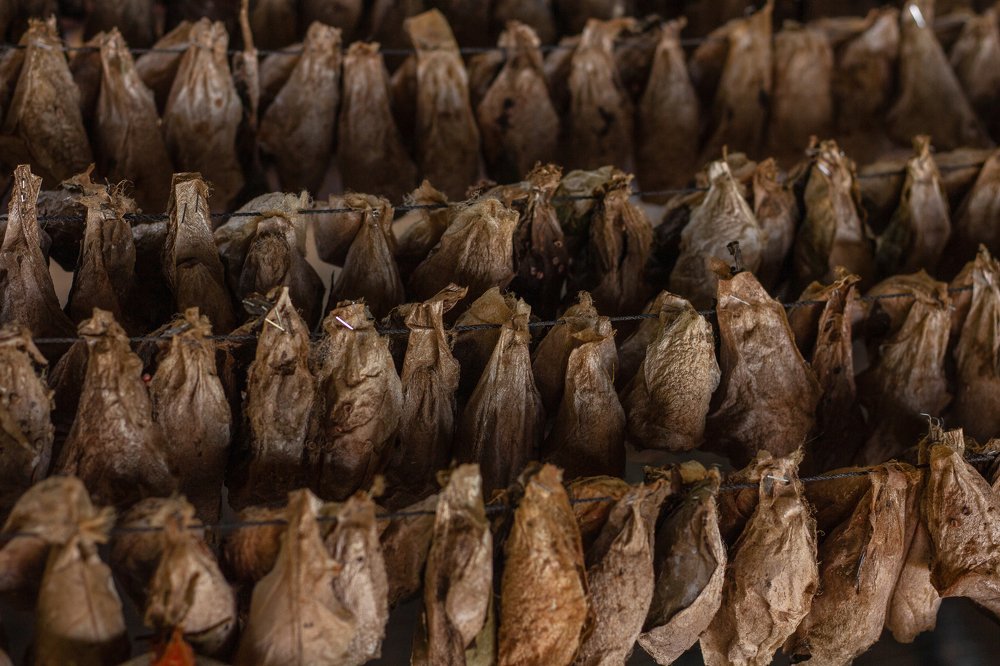 Photograph by Татьяна Тимофеева