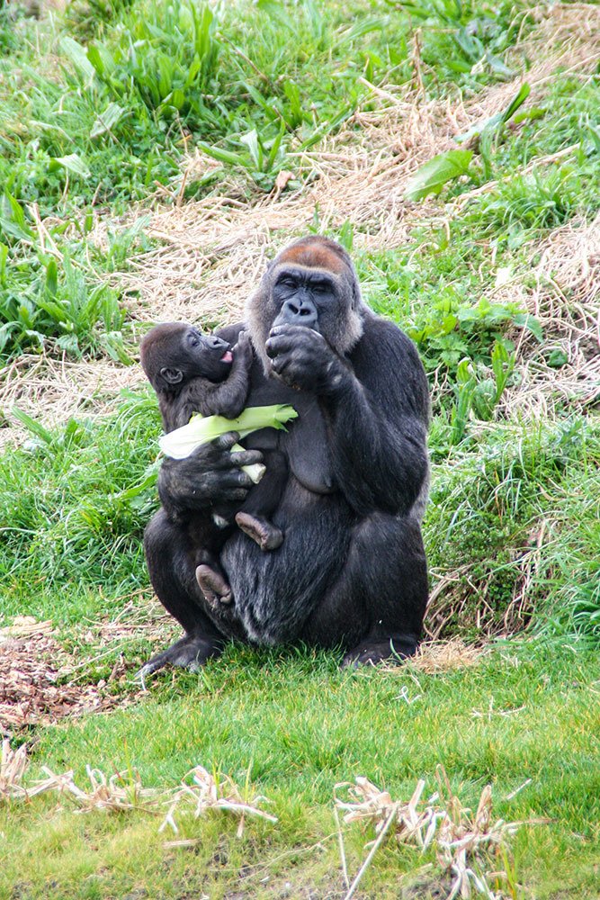 Photograph by Эдуард Шадров