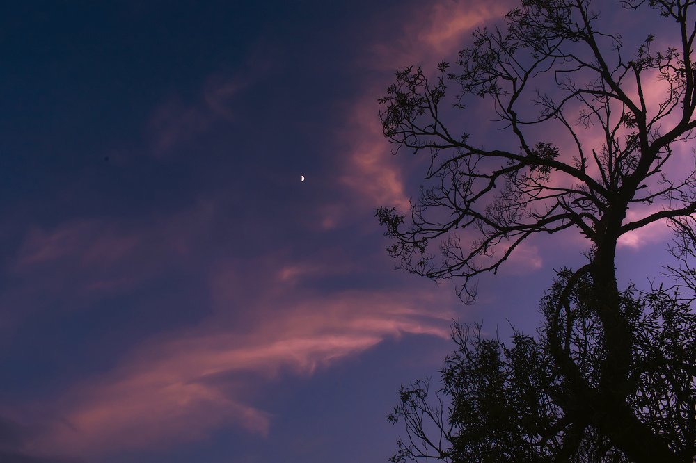 Photograph by Роман Павлов