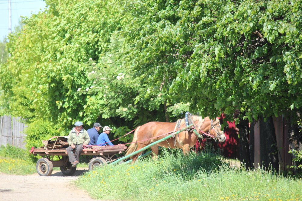 Photograph by Елена Верховская
