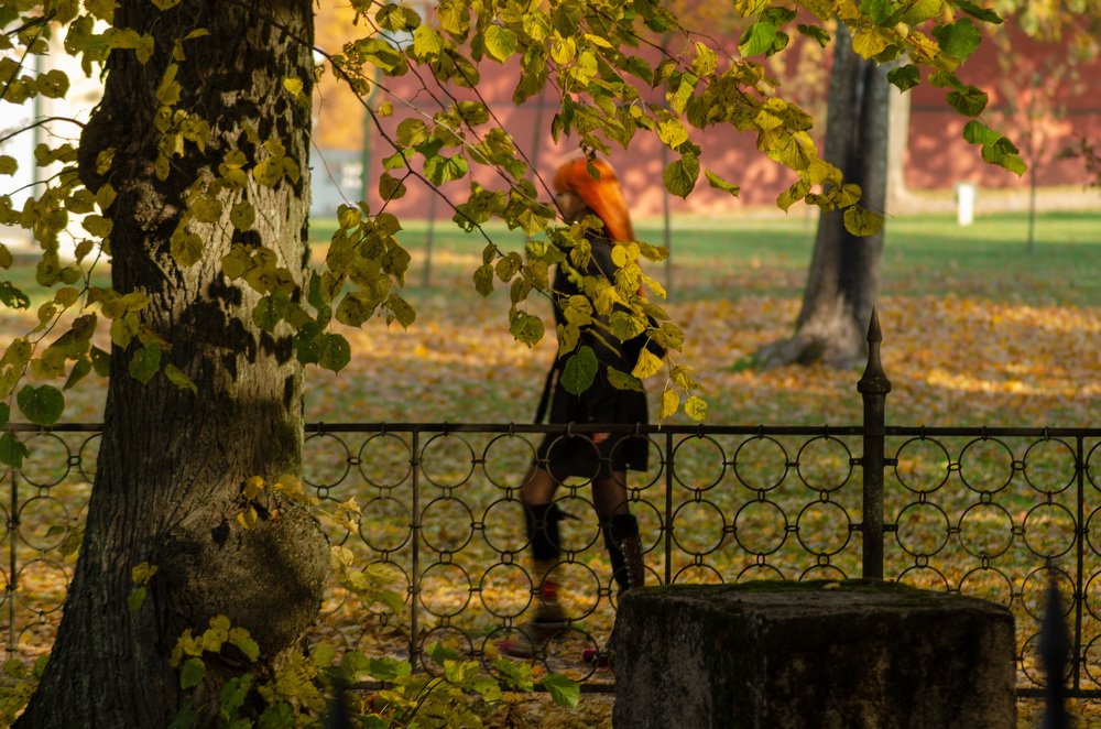 Фотография автора Юрий Макаров