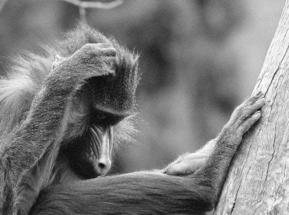 Photograph by Larisa