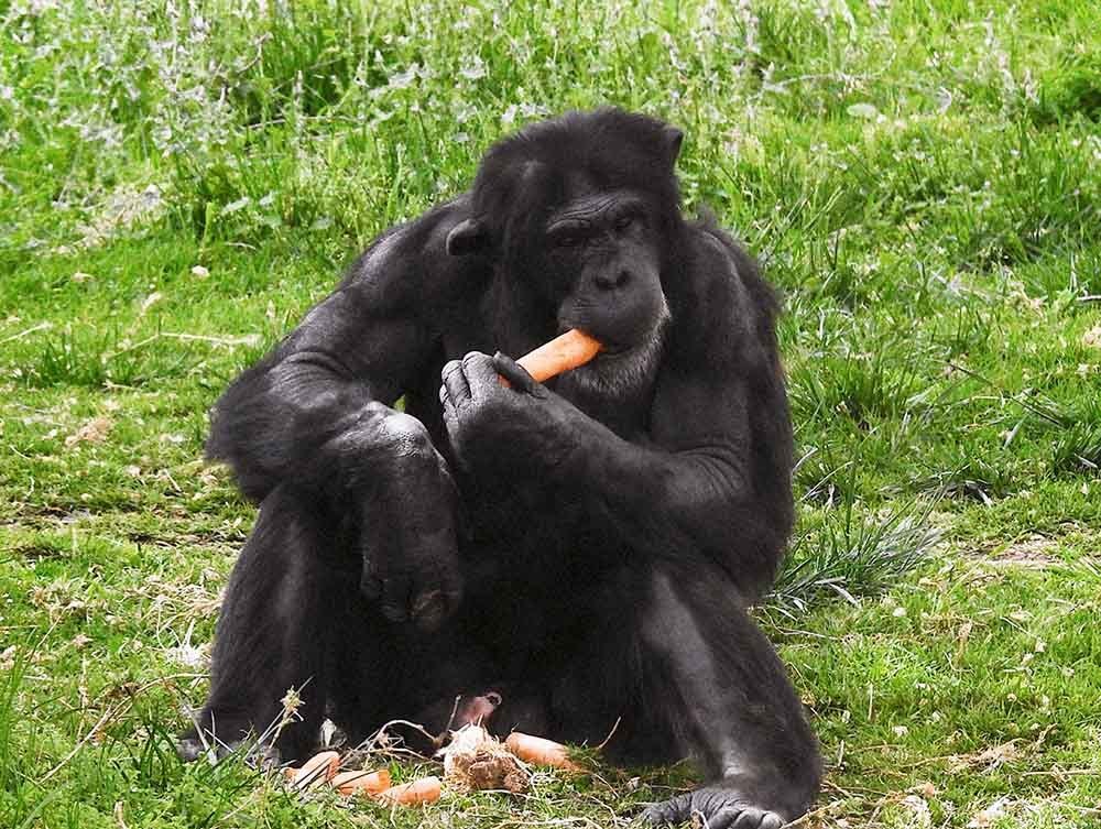 Photograph by Larisa