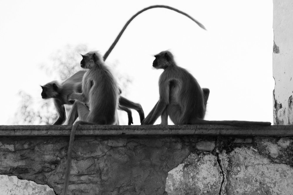 Photograph by Сергей Козинцев