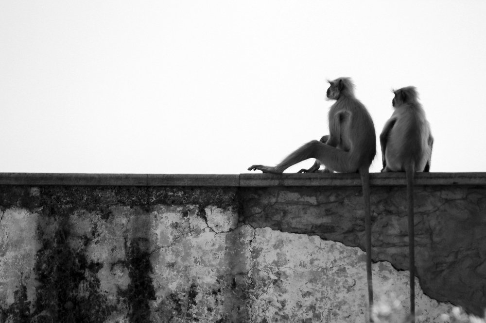 Photograph by Сергей Козинцев