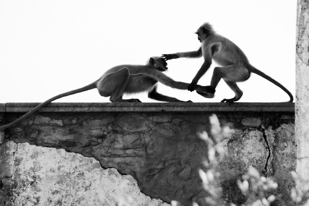 Photograph by Сергей Козинцев