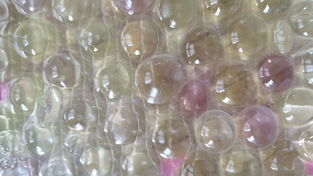 Photograph by Monica Macri