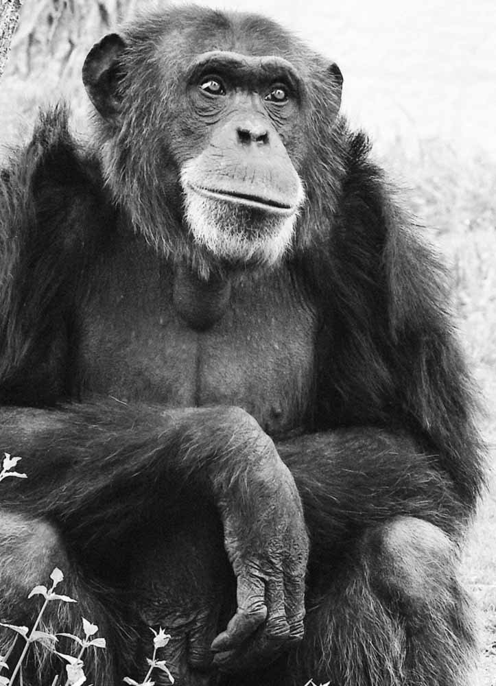 Photograph by Слава Гальперин