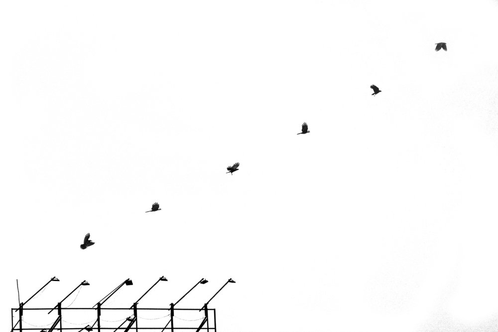 Фотография автора Nawas Sharif Nawas