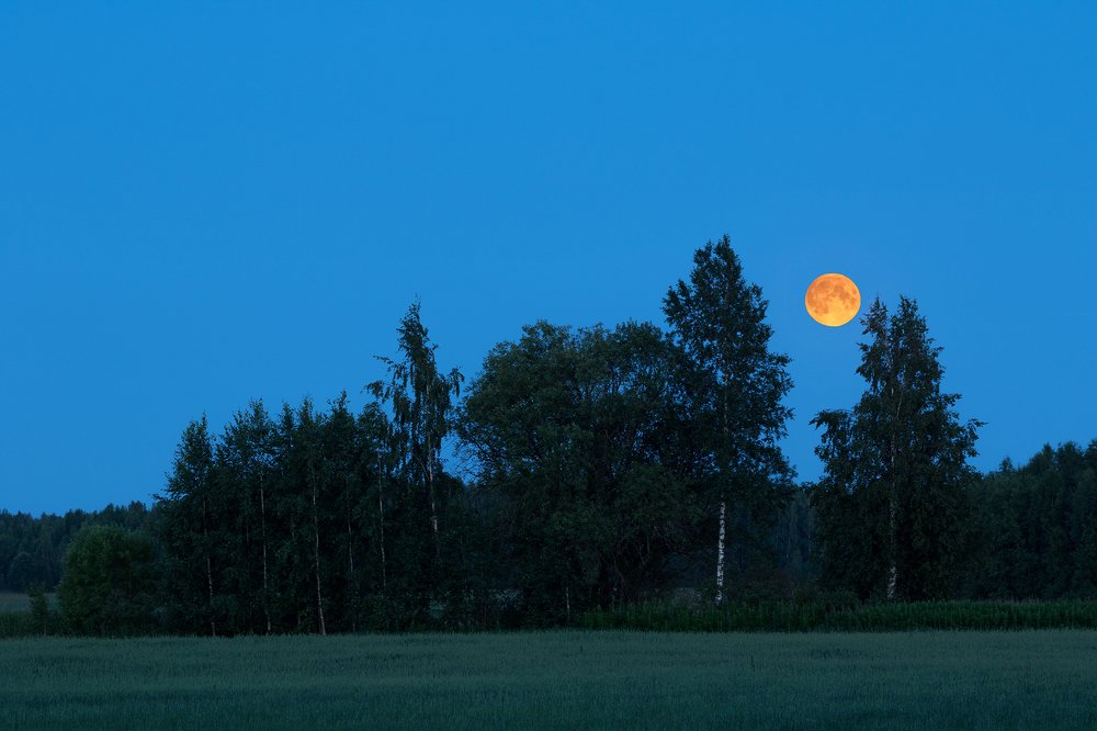 Photograph by Иван Добромыслов
