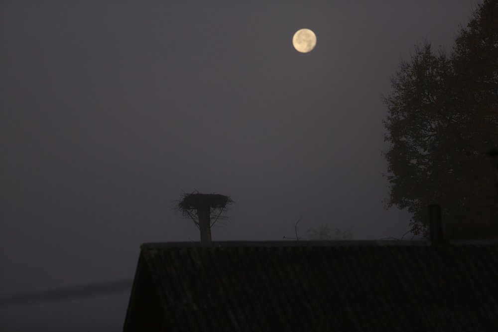 Фотография автора Наталья Васько -Черданцева