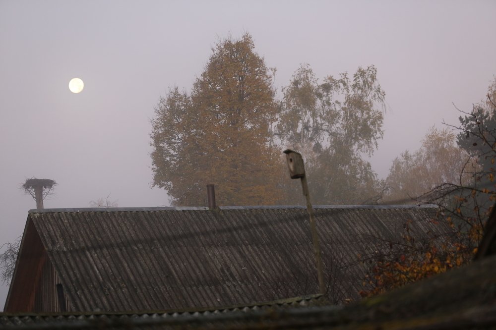 деревенский пейзаж