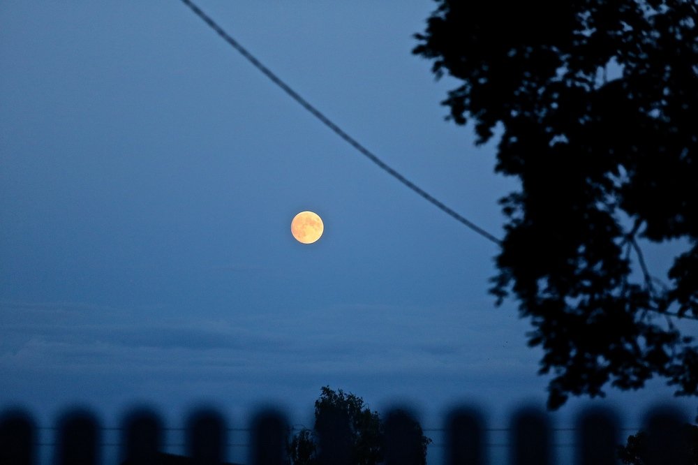Фотография автора Наталья Васько -Черданцева