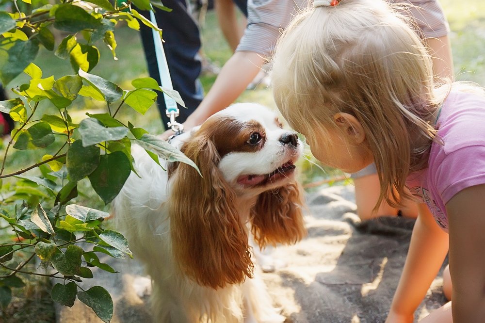 Photograph by Александра Уварова