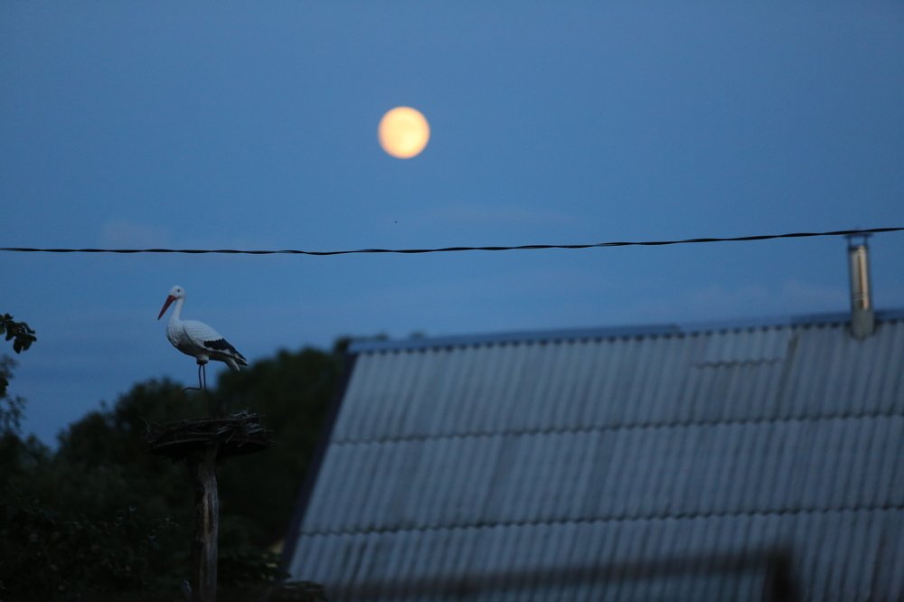 Фотография автора Наталья Васько -Черданцева