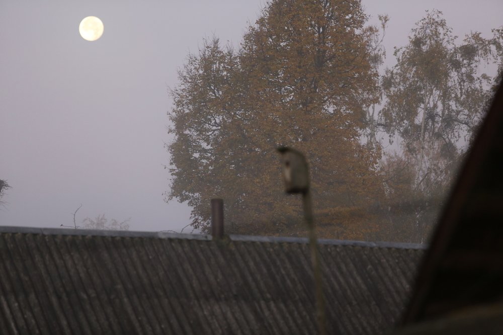 Фотография автора Наталья Васько -Черданцева