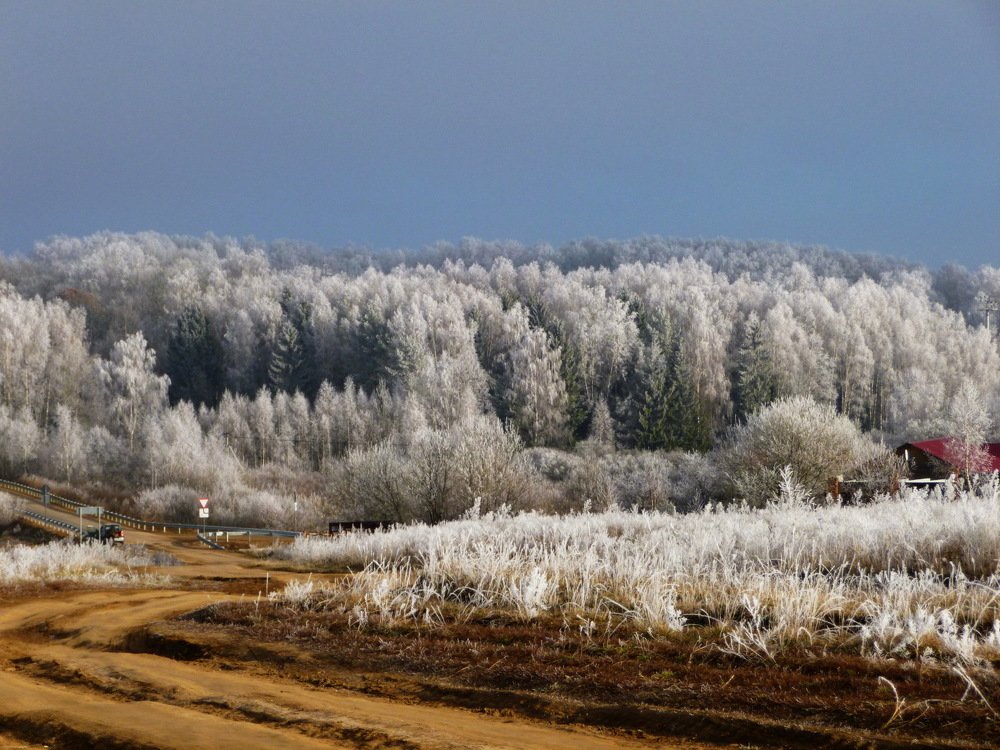 Photograph by Galina Leskova