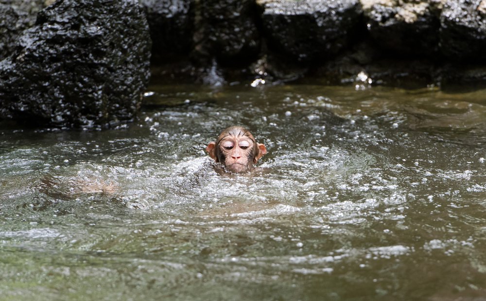 Photograph by Татьяна Дударенко