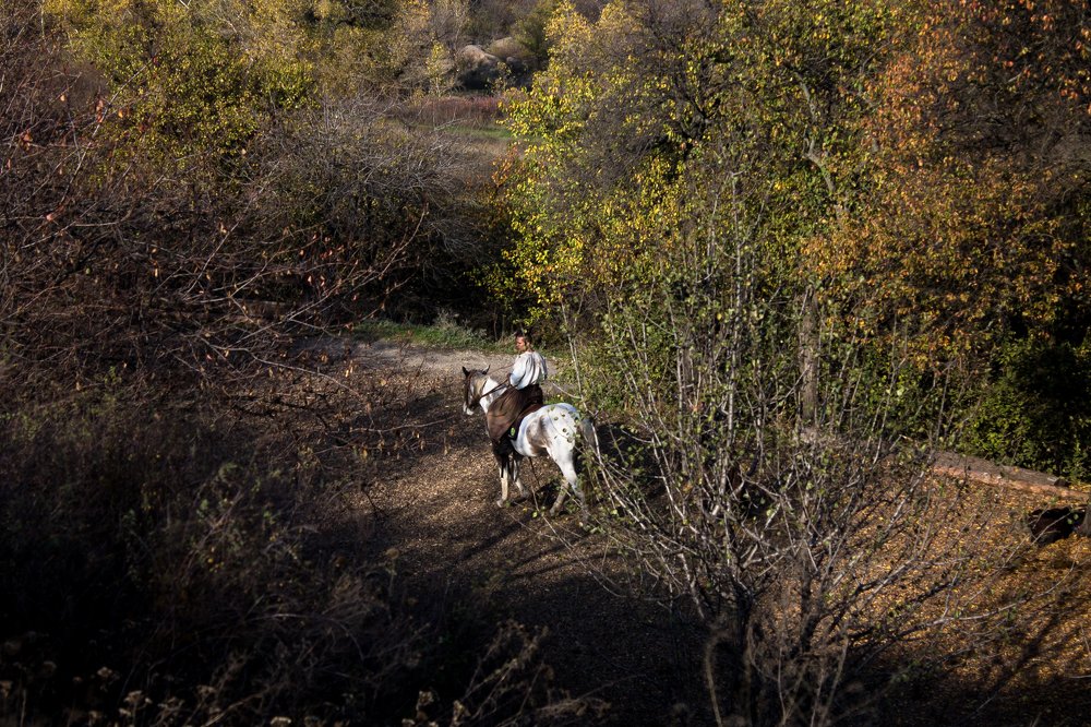 Photograph by Vira Falkina