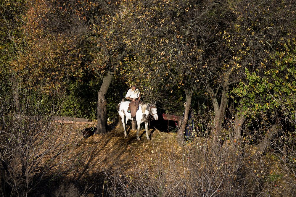 Photograph by Vira Falkina