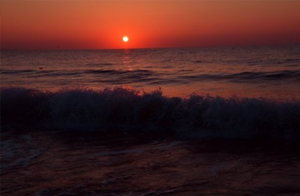 Photograph by Alvydas Ldk