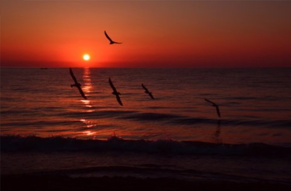 Photograph by Alvydas Ldk