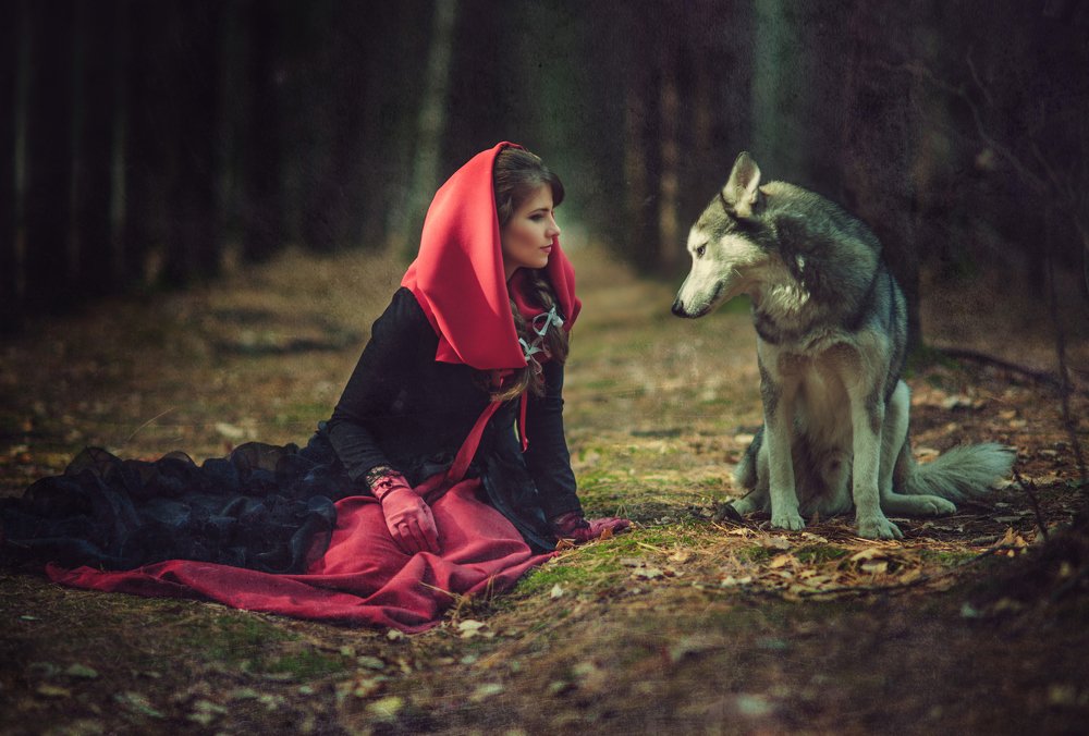 Фотография автора Диана Липкина