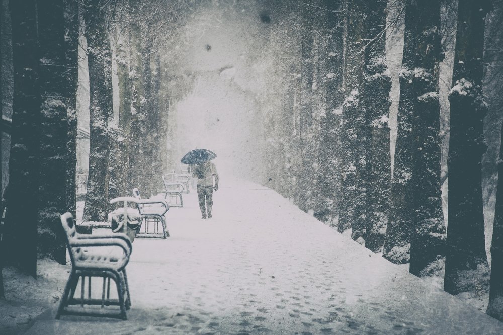 Photograph by DAMOUN POURNEMATI