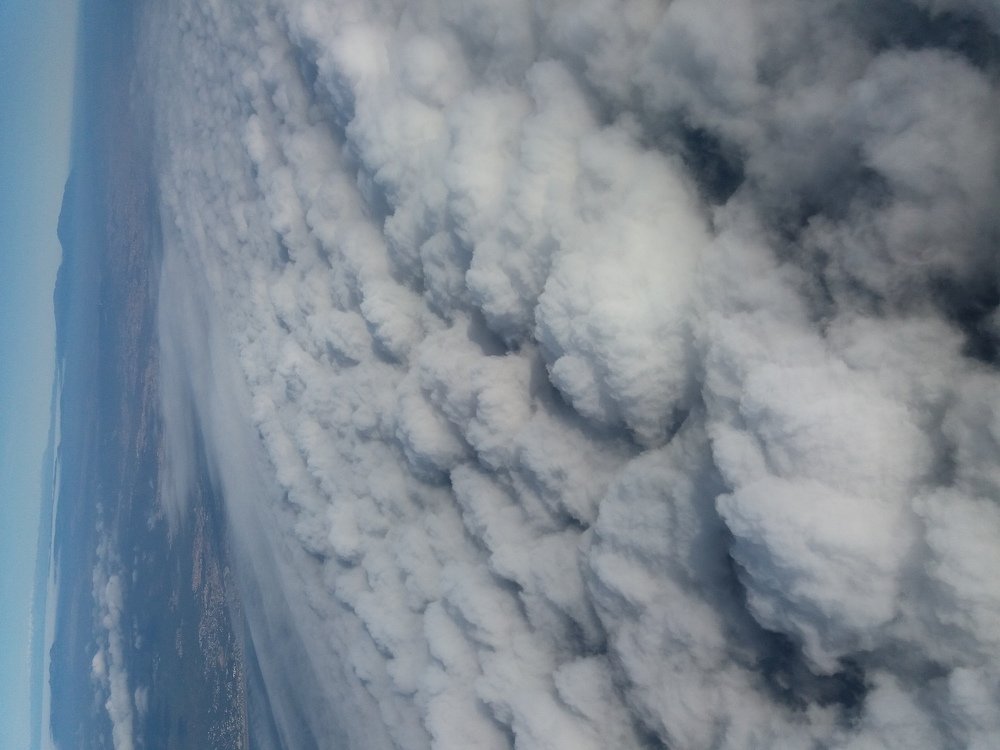 Photograph by оксана