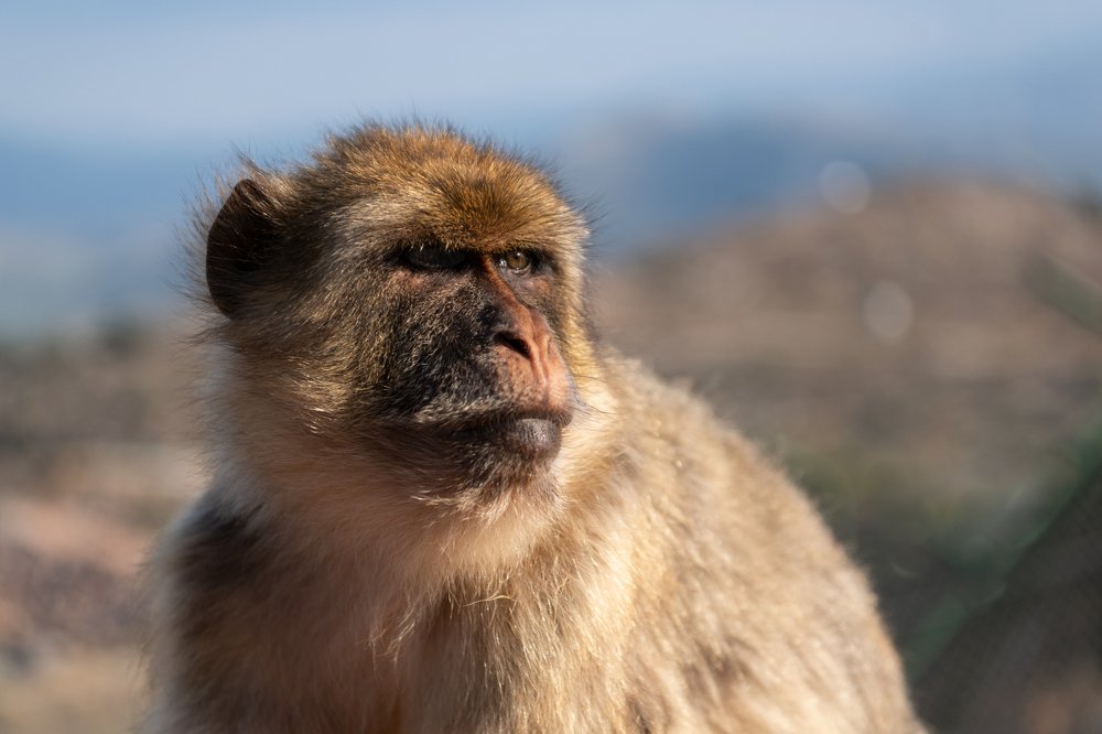 Photograph by Татьяна Дударенко