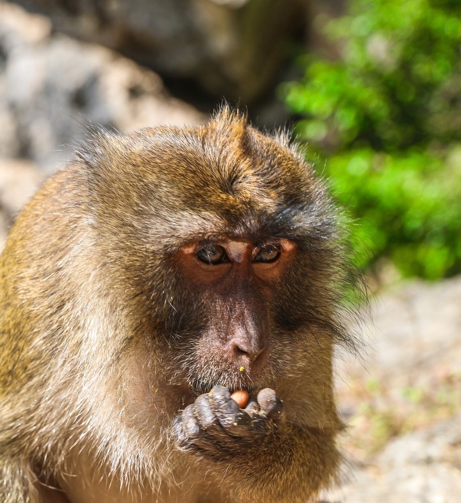 Photograph by Владислав Лебедев