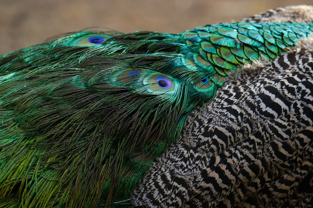 Photograph by Наталья Бондарева