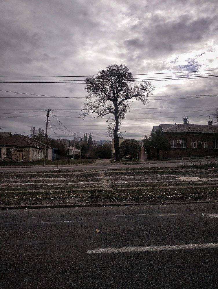 Photograph by Vira Falkina