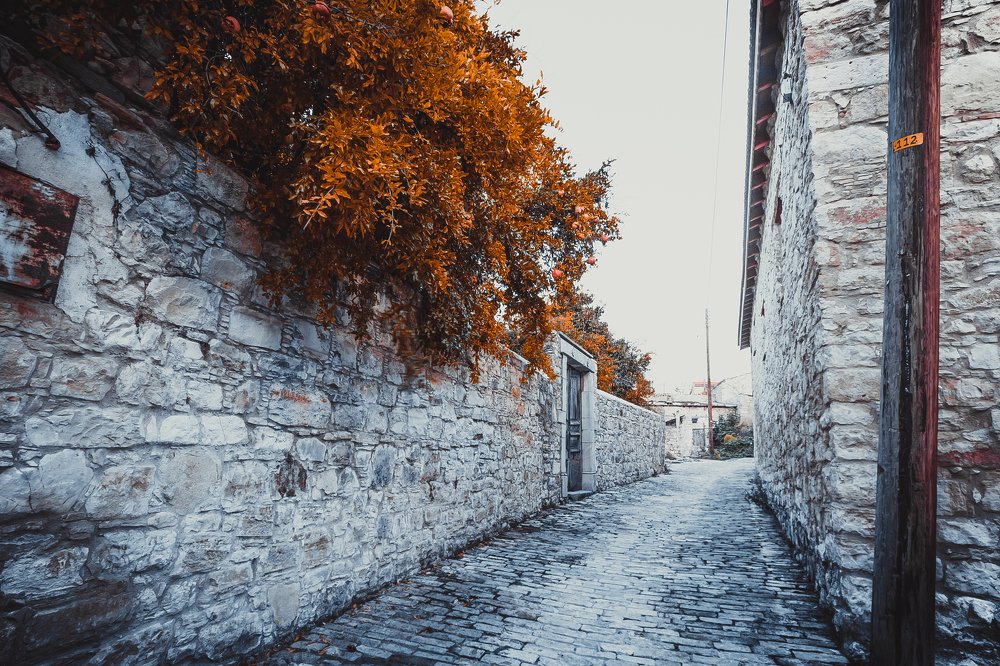 Photograph by Saulius Mikalauskas