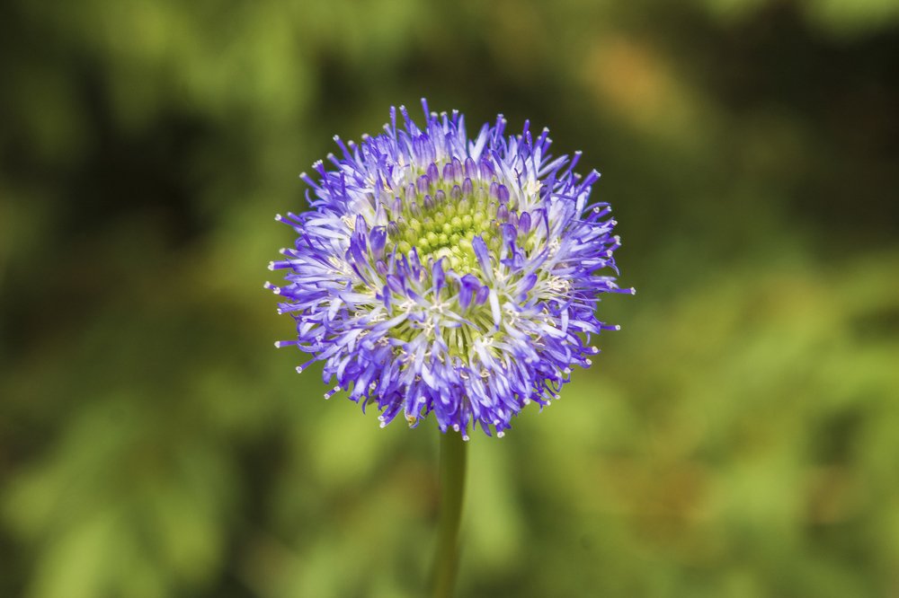 Photograph by Галина Шеватурина