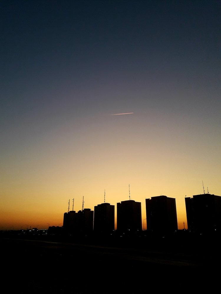 Photo #3991902