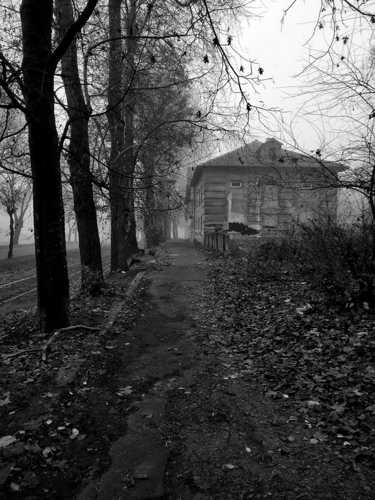 Photograph by Vira Falkina