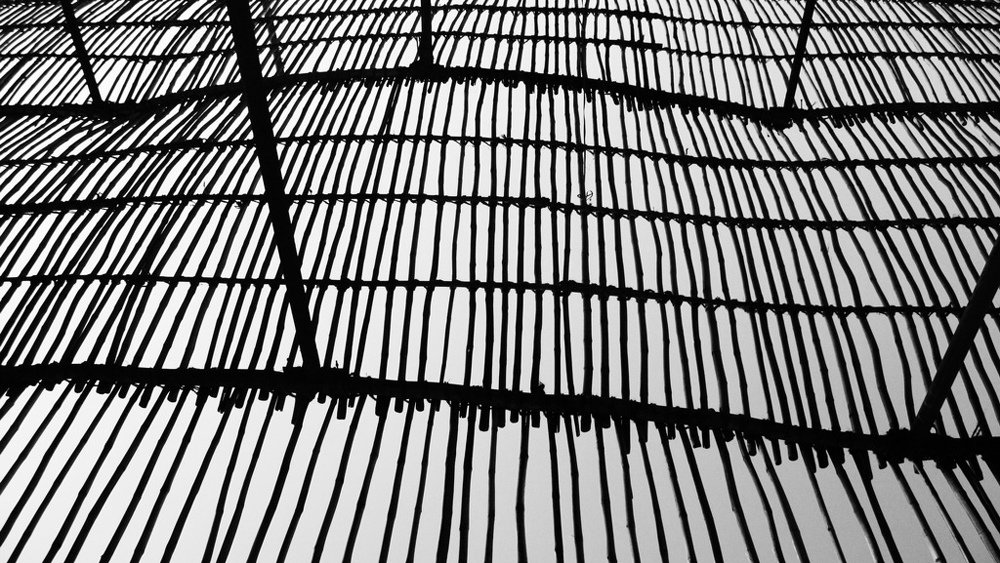 Photograph by krunal mistry