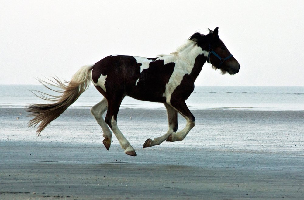 Photograph by krunal mistry