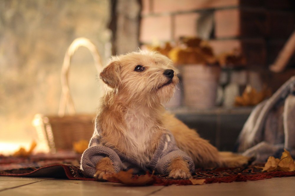 Photograph by Виктория Суркова