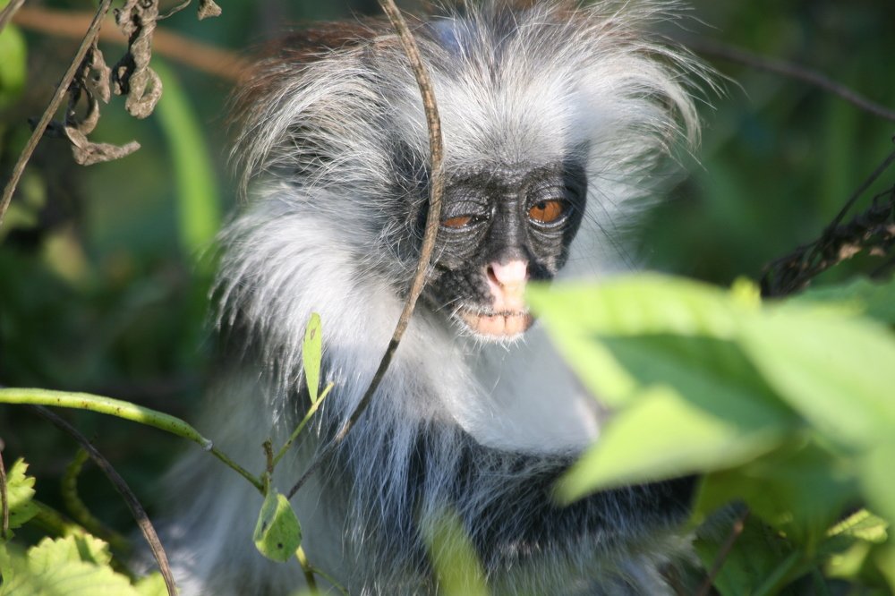 Photograph by OSSETROVA Eugeniya