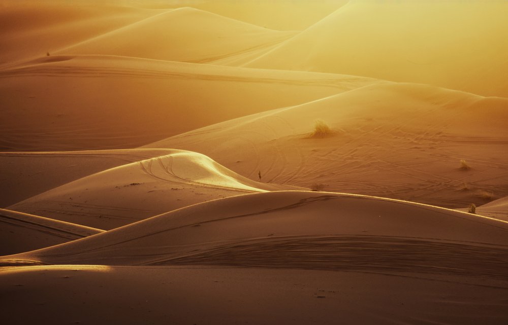 Photograph by Shahriar Dabiri