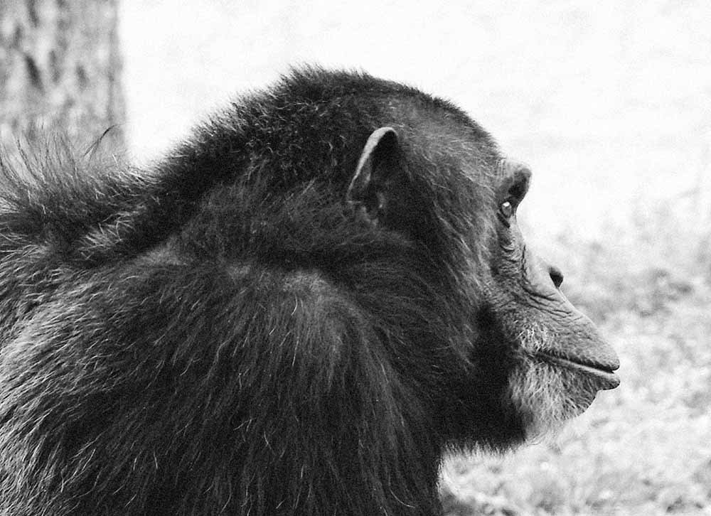 Photograph by Larisa