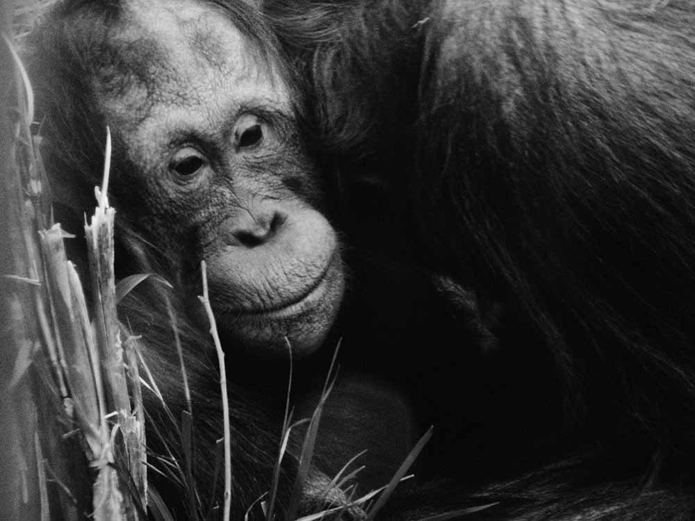 Photograph by Larisa