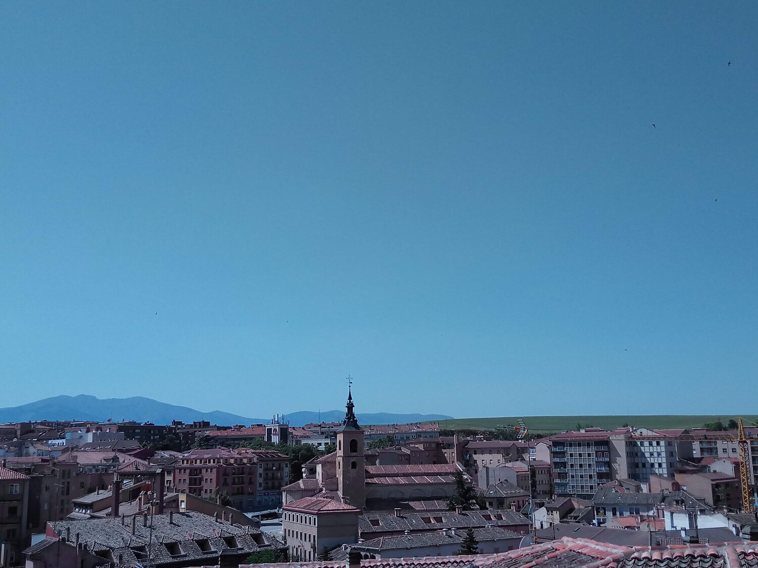 Photo #3992169
