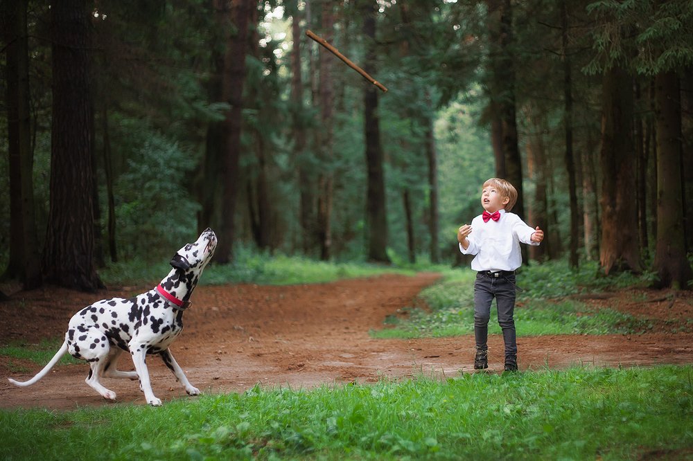 Фотография автора Мария Апреликова