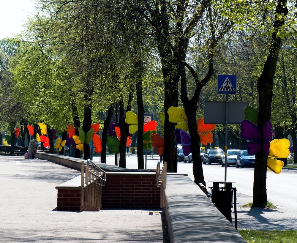 Бабочки не в моём животе