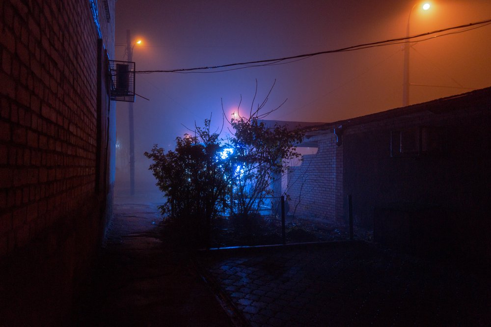 Photograph by Владислав Громов