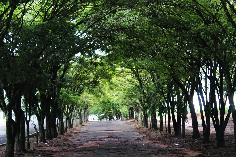 Photograph by Régis Santos