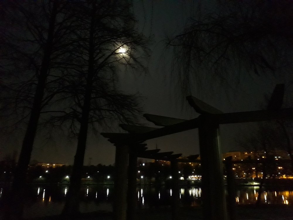 Photograph by Marius-Angel Gheorghe